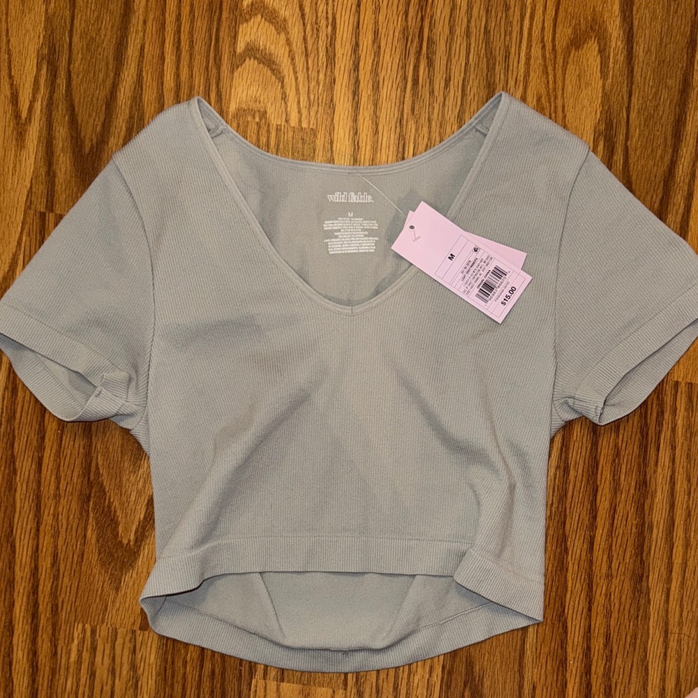 Wild Fable V-Neck Crop Top - Light Gray